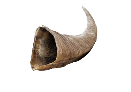 Horn Resources Horn Resources