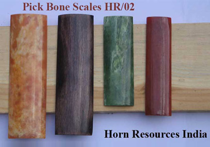 Picked Bone Scales