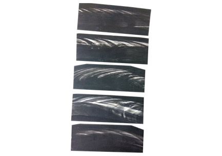 Black With White Streaks